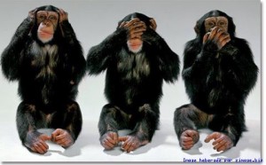 ne-rien-voir-ne-rien-entendre-ne-rien-dire